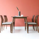Beano Dining Set, Small Dining Table Set 4 Seater