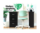 Anna Study Desk with Drawers & Shelves, L120 x W49 x H75.5 (cm)